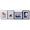 Image 1 : Framed Print Collection This lot includes a collec