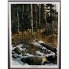 Image 2 : Derk Hansen "Land of the Free" Framed Print This l