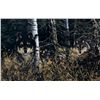 Image 3 : Derk Hansen "Land of the Free" Framed Print This l