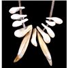 Image 2 : Elk Ivory and Bear Tooth Collection This lot featu