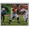 Image 1 : Tyler Eifert Cincinnati Bengals Autographed 8 x 10 Photograph