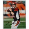 Image 1 : ANDY DALTON AUTOGRAPHED CINCINNATI BENGALS 8X10 PHOTO
