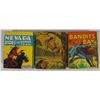 Image 2 : 3 - VINTAGE CHILDREN BOOKS, TARZAN, NEVADA RIDES & BANDITS AT BAY