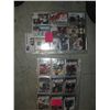 Image 1 : LOT OF HOCKEY CARDS; 99 VICTORY ROOKIE CARDS AND 30 JERSEY CARDS