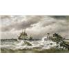 Image 1 : Stormweer bij het staketsel - François Musin...