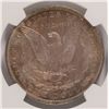 Image 3 : 1883-O MORGAN SILVER DOLLARS, NGC MS-65, BEAUTIFUL COLORS
