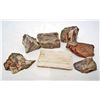 Image 1 : LOT OF 770 CTS MADAGASCAR PETRIFIED WOOD 6 PCS