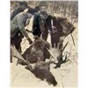 Image 1 : STEREOVIEW PHOTOGRAPH CARD OF MOOSE HUNT
