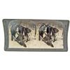 Image 2 : STEREOVIEW PHOTOGRAPH CARD OF MOOSE HUNT