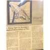 Image 5 : Flying Tigers Stained Glass