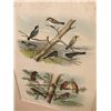 Image 5 : Land Deed and Vintage Etchings