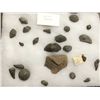 Image 1 : Collection of 23 Ocean Fossils