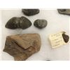 Image 2 : Collection of 23 Ocean Fossils