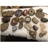 Image 1 : 20 Stones, Fossils, and Crystals