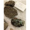 Image 3 : 20 Stones, Fossils, and Crystals