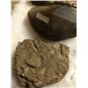 Image 8 : 20 Stones, Fossils, and Crystals