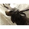 Image 6 : Bronze Statue of a Moose