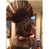 Image 1 : Full Body Tom Turkey Mount
