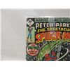 Image 2 : MARVEL PETER PARKER THE SPECTACULAR SPIDERMAN #4