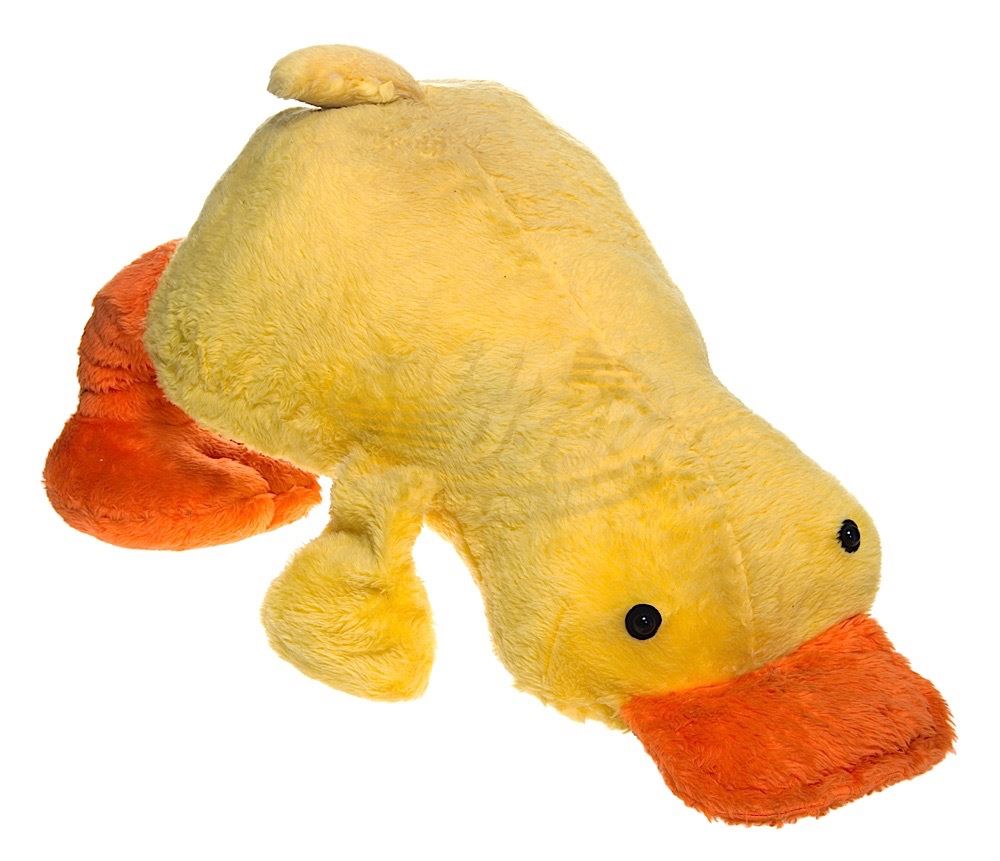 Click - Stuffed Duck