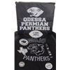 Image 3 : Friday Night Lights - Panthers Football Props