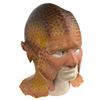 Image 1 : Star Trek: Voyager (TV) - Neelix Head and Face Appliance