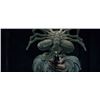 Image 6 : AVP: Alien Vs. Predator - Facehugger Puppet