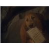 Image 9 : How the Grinch Stole Christmas - Whobilation Invitation