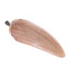 Image 1 : Jurassic Park - Tyrannosaurs Rex Tooth