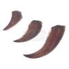 Image 2 : Jurassic Park - Velociraptor "Paint Test" Claws