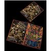 Image 2 : Muppets Most Wanted - The Muppet Show Flyers