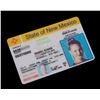 Image 1 : Roswell (TV) - Isabel's Drivers License (Katherine Heigl)