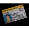 Image 1 : Roswell (TV) - Maria's Fake Drivers License (Majandra Delfino)
