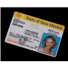Image 1 : Roswell (TV) - Tess' Drivers License (Emilie de Ravin)