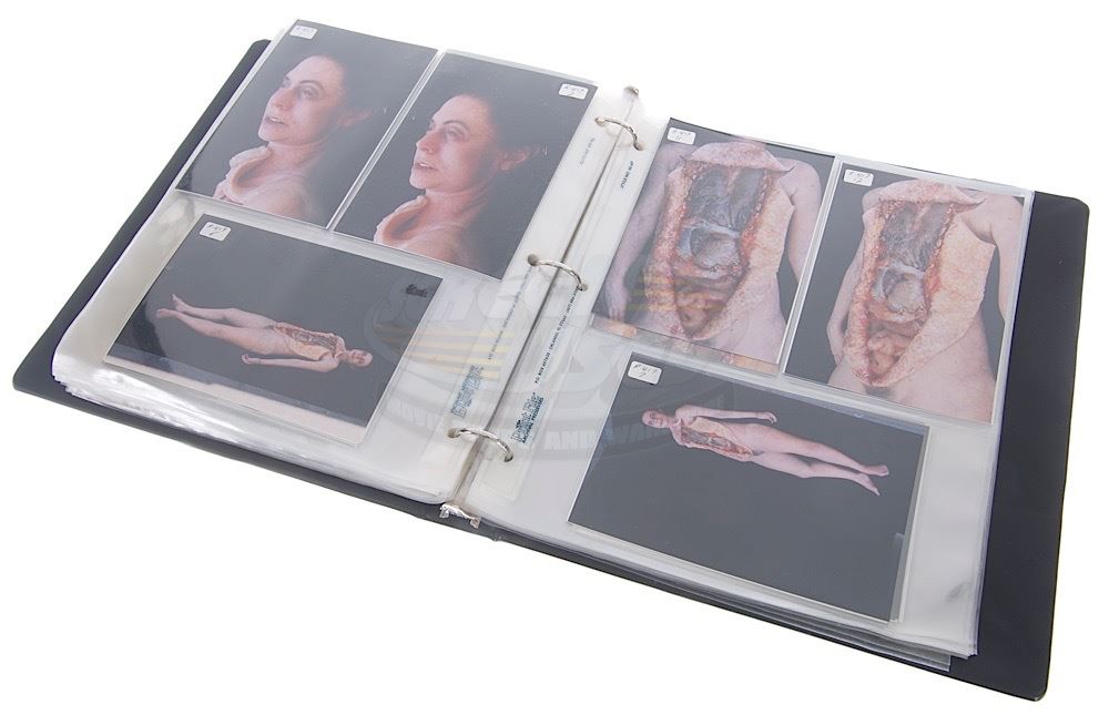 Species II - XFX Continuity Binder