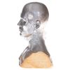 Image 2 : Terminator 2: Judgment Day - T-1000 Special Effects Head (Robert Patrick)