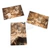 Image 2 : Indiana Jones and the Temple of Doom - Collection of Live Action & Miniature Set Photographs