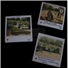 Image 3 : Terminator 3: Rise of the Machines - Collection of Continuity Polaroids