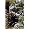 Image 3 : Jurassic Park - Velociraptor Footprint Marker