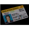 Image 1 : Roswell (TV) - Michael's "Fake" Drivers License (Brendan Fehr)