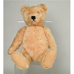 20  GOLD MOHAIR STEIFF 1950'S BEAR.