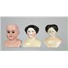 Image 1 : BOX LOT OF 16 DOLL HEADS.