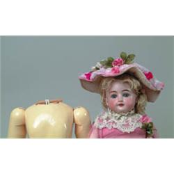 LOT OF DOLL AND BODY.