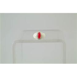 GLOW IN THE DARK PREMIUM RING.