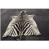 Image 2 : ZEBRA SKIN