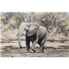 Image 2 : YVAN DUSHMANITCH, "LONE ELEPHANT WITH BAOBAB" OIL ON CANVAS, SIGNED LOWER LEFT 30" W X 20" H