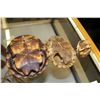 Image 2 : LOT OF 3 BUSHMEN TORTOISE SHELLS