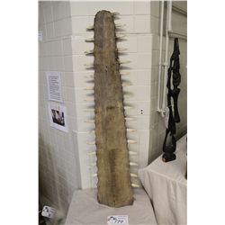 ANTIQUE LARGE TOOTH SAWFISH  SAW  CALLED A ROSTRUM 53  LONG. CRITICALLY ENDAGERED INDO-PACIFIC