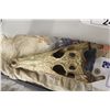 Image 2 : CROCODILE SKULL 8" LONG