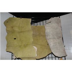 ANIMAL SKINS
